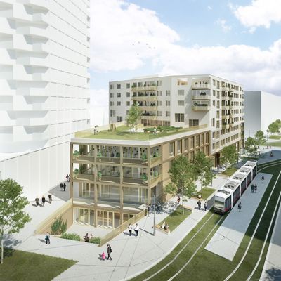 Rendering eines modernen Bauprojekts mit begrüntem Dach