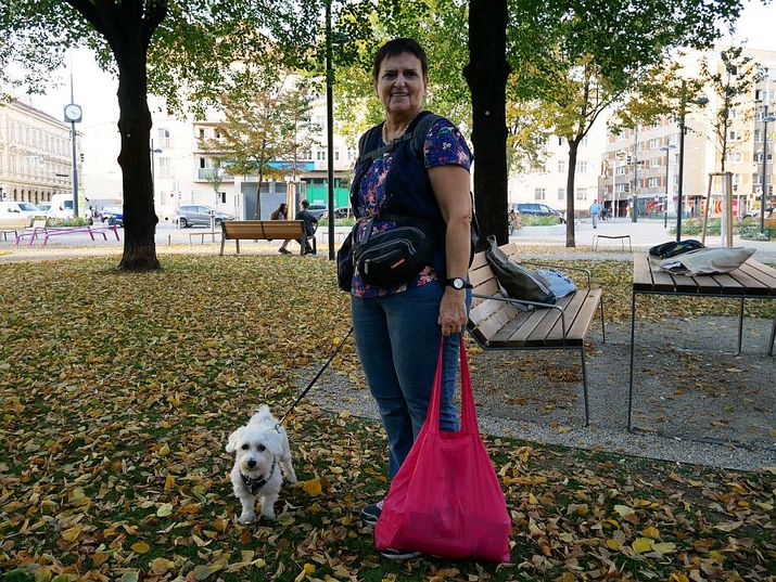 Eine Frau mit einer roten Einkaufstasche und ihrem kleinen weißen Hund in einer von herbstlichen Blättern bedeckten Grünfläche 