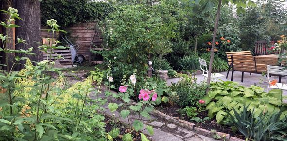 Kleine Wege inmitten üppiger Grünpflanzen schlängeln sich durch diesen Josefstädter Innenhof.