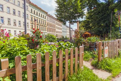 Nachbarschaftsgarten Matznergarten