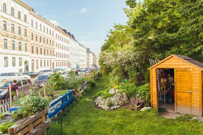 Der grüne Fleck in Wien 