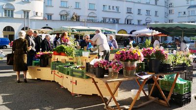 Bauernmarkt