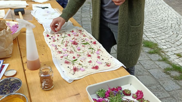 Hapa Zome Workshop