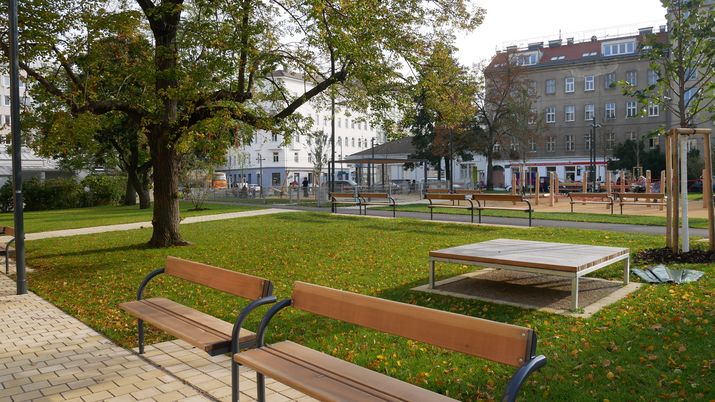 Park mit Bänken und einem großen Baum