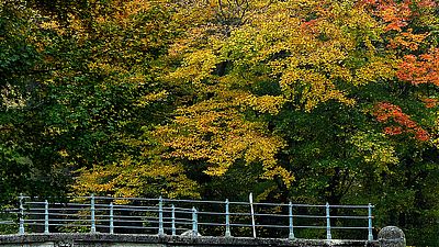 Ausstellung Fotofreunde Favoriten Ausstellung Fotofreunde Favoriten