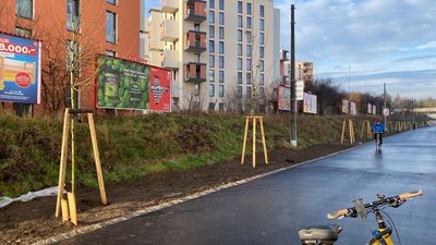 Neuer Radweg und Baumallee in der Atzgersdorfer Straße