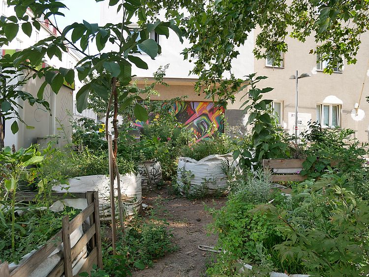 Garten Peph mit Hochbeeten und Pflanzen.