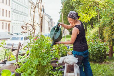 Matznergarten - Das Dorf in der Stadt