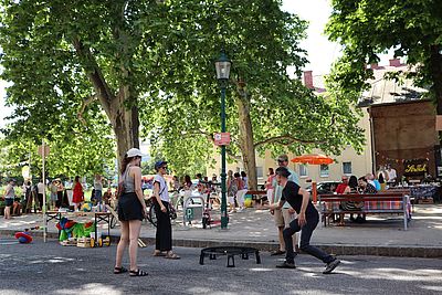Parkkulisse mit mehreren Personen, vier spielen mit Ball und Netz (Spikeball), Bäume, Schatten