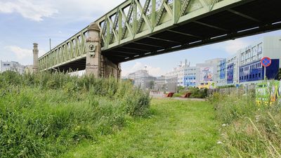 Hohe Schmetterlingswiese unter den U-Bahn-Trassen