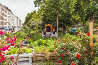 Nachbarschaftsgarten Matznergarten