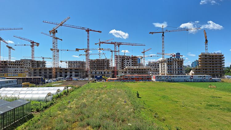 Hinter einer Wiese, links davon Glashäuser, befindet sich die Baustelle zum Quartier An der Schanze mit vielen Kränen und im Bau befindlichen Gebäuden.