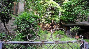 Begrünter Innenhof in Wien