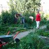 Gemeinschaftsgarten Steinhagegarten