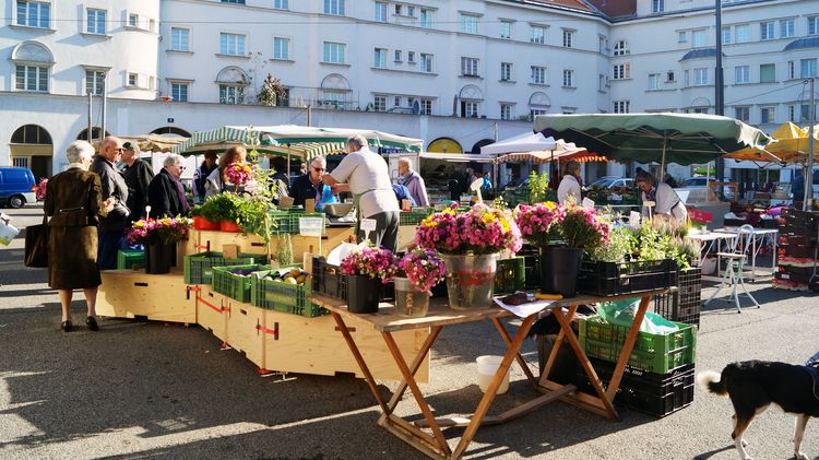 Bauernmarkt am Schlingermarkt