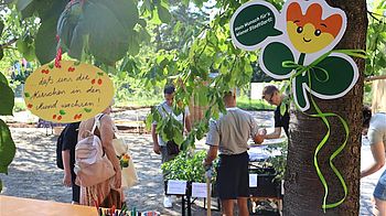 Am Wünschebaum konnten Leute ihre Wünsche für das Wiener Stadtgartl befestigen.