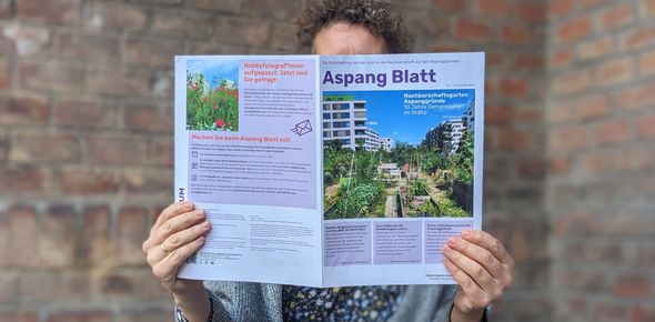 Frau sitzt vor Backsteinfassade auf einem türkisen Holzklappstuhl und liest die erste Ausgabe des Aspang Blatts -- die Nachbarschaftszeitung verdeckt ihr Gesicht.