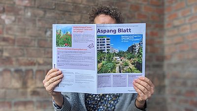 Frau sitzt vor Backsteinfassade auf einem türkisen Holzklappstuhl und liest die erste Ausgabe des Aspang Blatts -- die Nachbarschaftszeitung verdeckt ihr Gesicht.