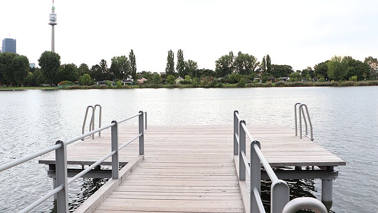 Badestege an der oberen Alten Donau.