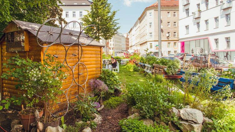 Nachbarschaftsgarten Matznergarten in Penzing